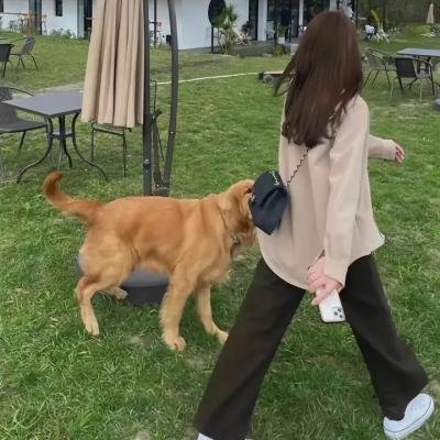 野人族女王 海报